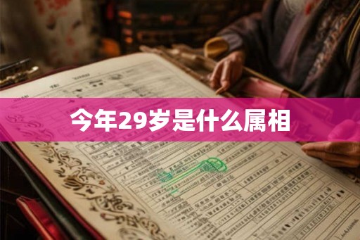 今年29岁是什么属相