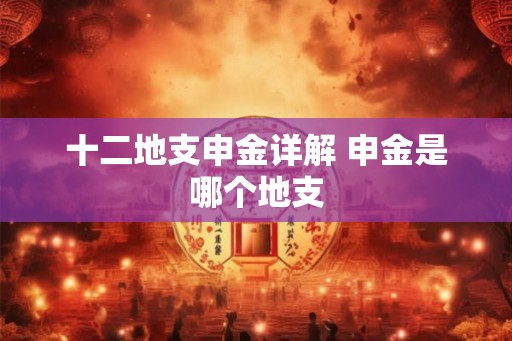 十二地支申金详解 申金是哪个地支