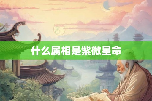 什么属相是紫微星命