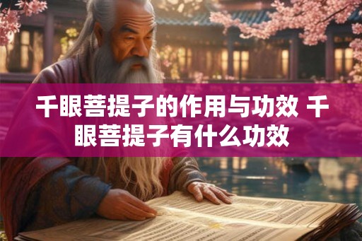 千眼菩提子的作用与功效 千眼菩提子有什么功效