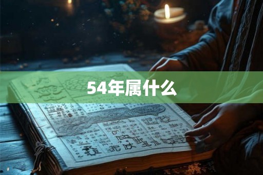 54年属什么