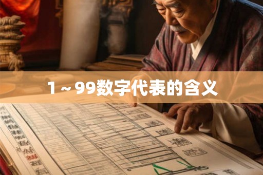 1～99数字代表的含义