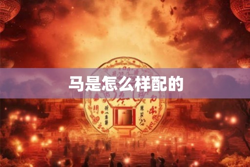马是怎么样配的