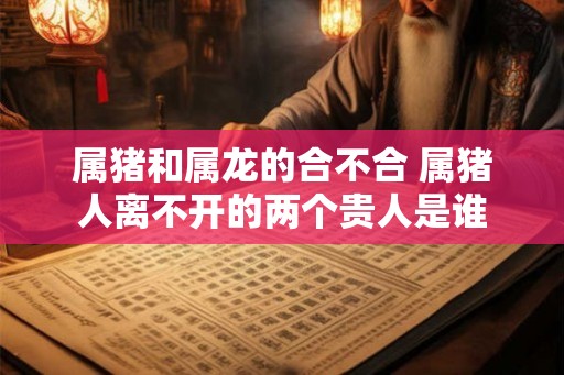 属猪和属龙的合不合 属猪人离不开的两个贵人是谁