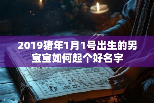 2019猪年1月1号出生的男宝宝如何起个好名字