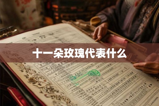 十一朵玫瑰代表什么