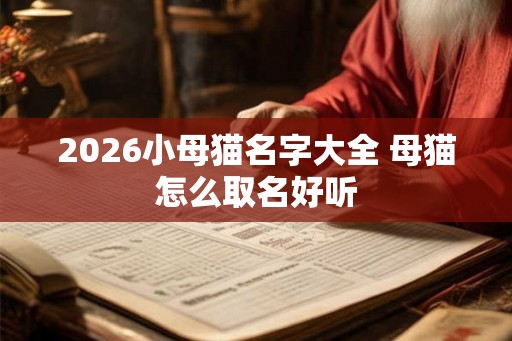 2026小母猫名字大全 母猫怎么取名好听