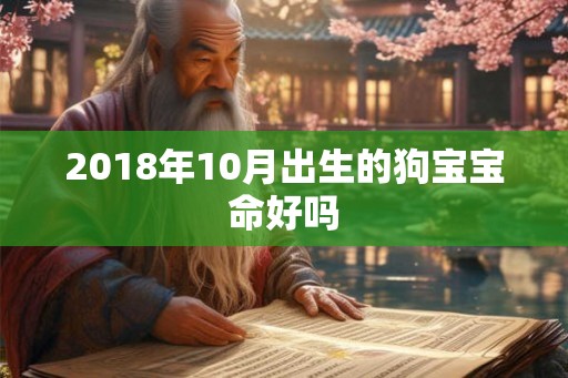 2018年10月出生的狗宝宝命好吗