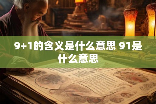 9+1的含义是什么意思 91是什么意思