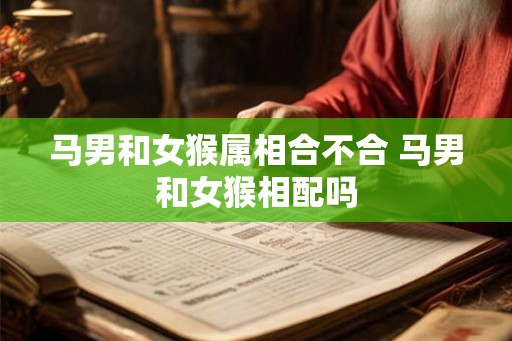 马男和女猴属相合不合 马男和女猴相配吗 马男和女猴属相合不合 马男和女猴相配吗