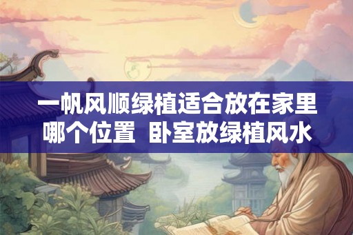 一帆风顺绿植适合放在家里哪个位置  卧室放绿植风水好吗