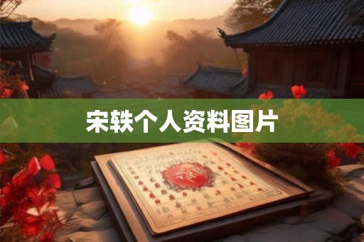 宋轶个人资料图片