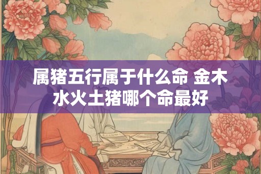 属猪五行属于什么命 金木水火土猪哪个命最好