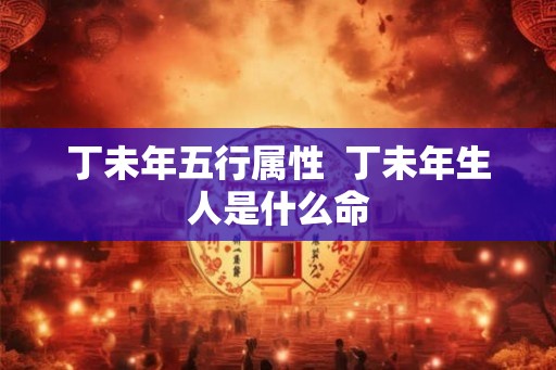 丁未年五行属性  丁未年生人是什么命