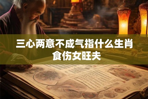 三心两意不成气指什么生肖  食伤女旺夫