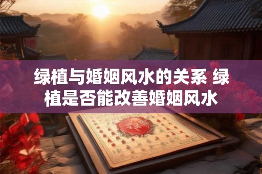 绿植与婚姻风水的关系 绿植是否能改善婚姻风水