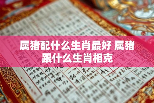 属猪配什么生肖最好 属猪跟什么生肖相克