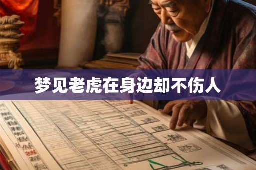 梦见老虎在身边却不伤人