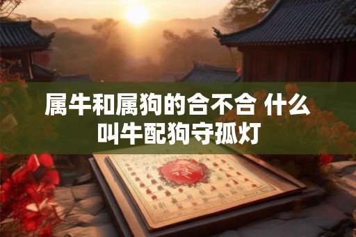 属牛和属狗的合不合 什么叫牛配狗守孤灯