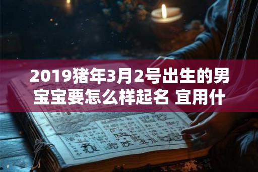 2019猪年3月2号出生的男宝宝要怎么样起名 宜用什么字
