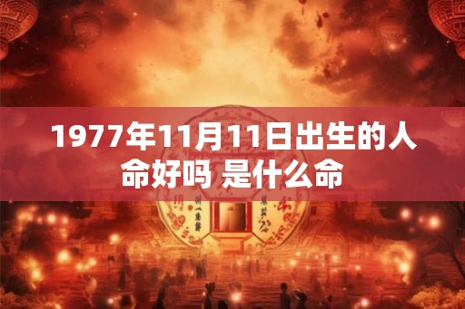 1977年11月11日出生的人命好吗 是什么命