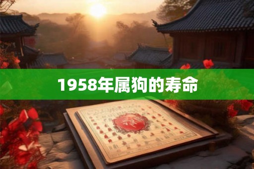 1958年属狗的寿命