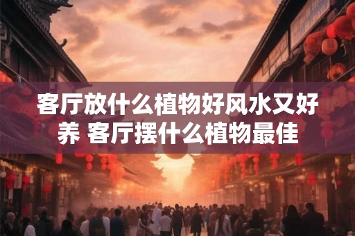 客厅放什么植物好风水又好养 客厅摆什么植物最佳