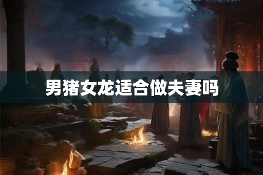 男猪女龙适合做夫妻吗