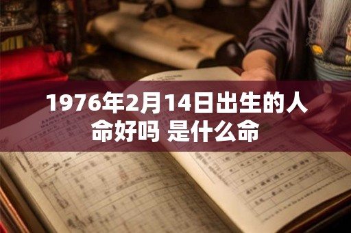 1976年2月14日出生的人命好吗 是什么命