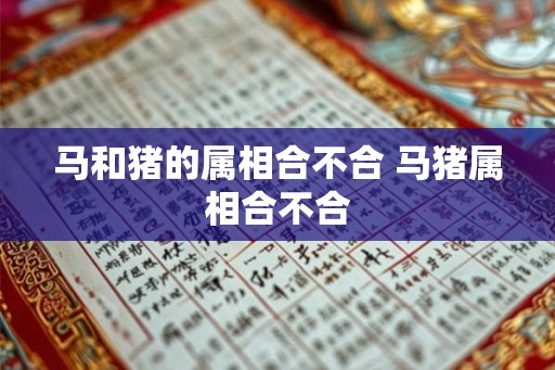马和猪的属相合不合 马猪属相合不合