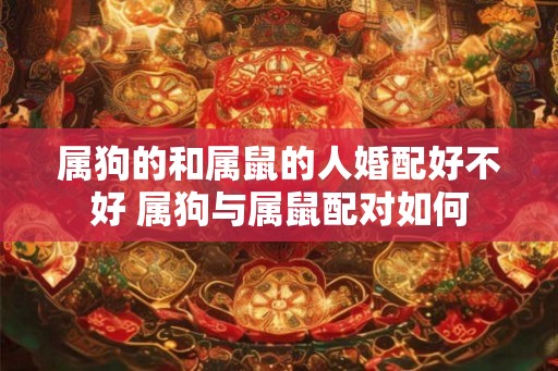 属狗的和属鼠的人婚配好不好 属狗与属鼠配对如何