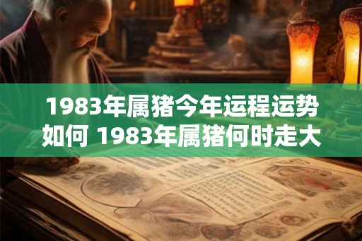 1983年属猪今年运程运势如何 1983年属猪何时走大运 1983年属猪今年运程运势如何 1983年属猪何时走大运