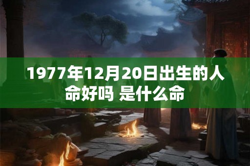 1977年12月20日出生的人命好吗 是什么命 1977年12月20日出生的人命好吗 是什么命