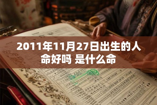 2011年11月27日出生的人命好吗 是什么命