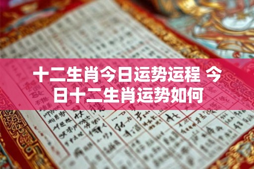 十二生肖今日运势运程 今日十二生肖运势如何