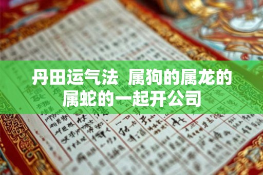 丹田运气法  属狗的属龙的属蛇的一起开公司