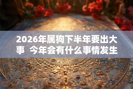 2026年属狗下半年要出大事  今年会有什么事情发生