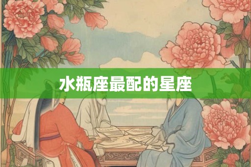 水瓶座最配的星座 水瓶座最配的星座