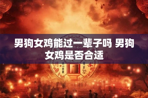男狗女鸡能过一辈子吗 男狗女鸡是否合适 男狗女鸡能过一辈子吗 男狗女鸡是否合适