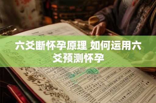 六爻断怀孕原理 如何运用六爻预测怀孕 六爻断怀孕原理 如何运用六爻预测怀孕