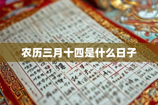 农历三月十四是什么日子