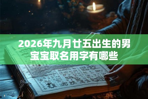 2026年九月廿五出生的男宝宝取名用字有哪些