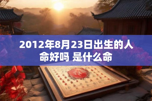 2012年8月23日出生的人命好吗 是什么命