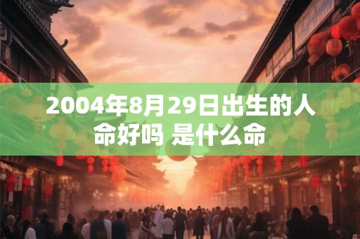 2004年8月29日出生的人命好吗 是什么命