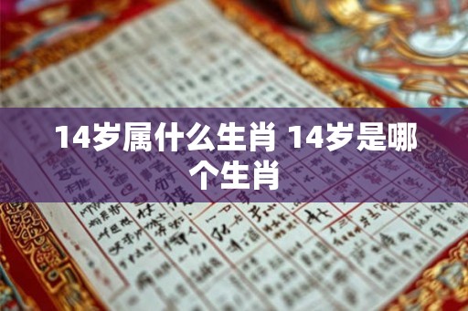 14岁属什么生肖 14岁是哪个生肖