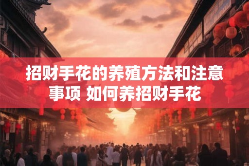 招财手花的养殖方法和注意事项 如何养招财手花