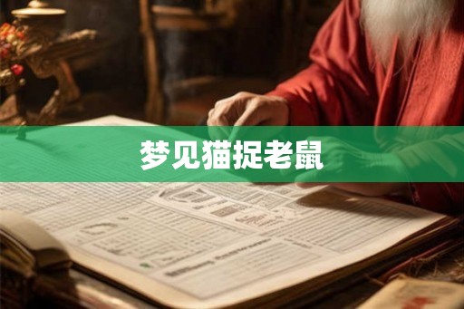 梦见猫捉老鼠
