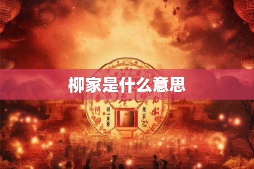 柳家是什么意思