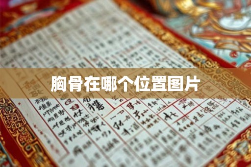 胸骨在哪个位置图片 胸骨在哪个位置图片