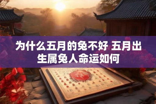为什么五月的兔不好 五月出生属兔人命运如何